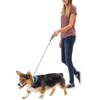 Nite Ize - Collar with Leash RadDog All-In-One - S - Red- RRLS-10-R3