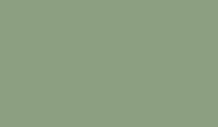 FOSCO - Farba do maskowania RAL 6021 - Pale Green